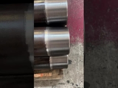 Pincel da articulação do cachorro x Pincel