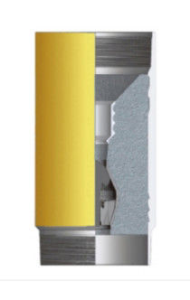 Single Valve Self Latch Api 6 5/8 